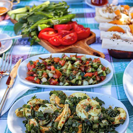 B House מלון אלאקאטי